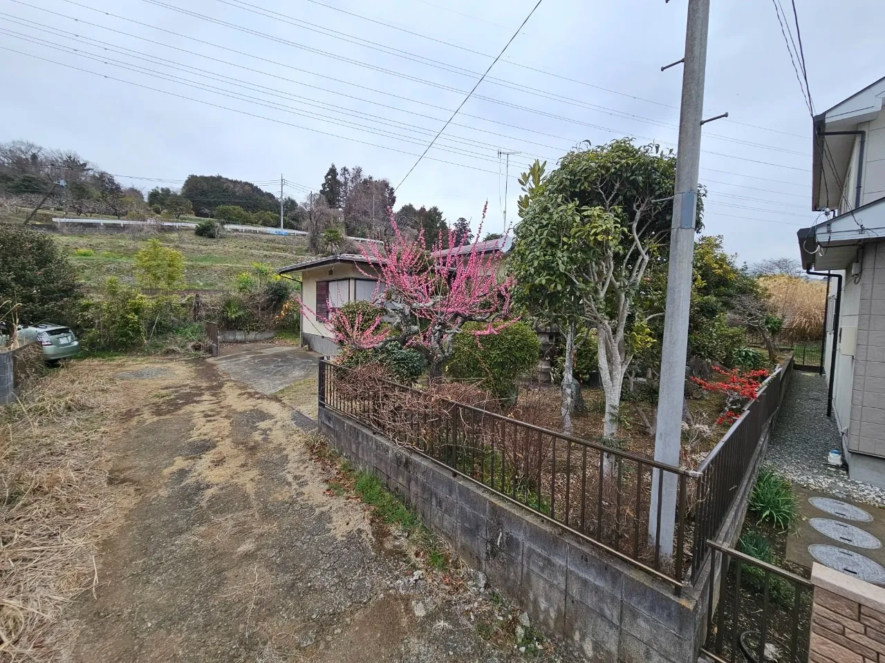 秦野市菖蒲