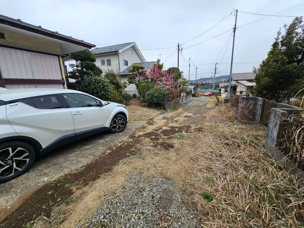 秦野市菖蒲