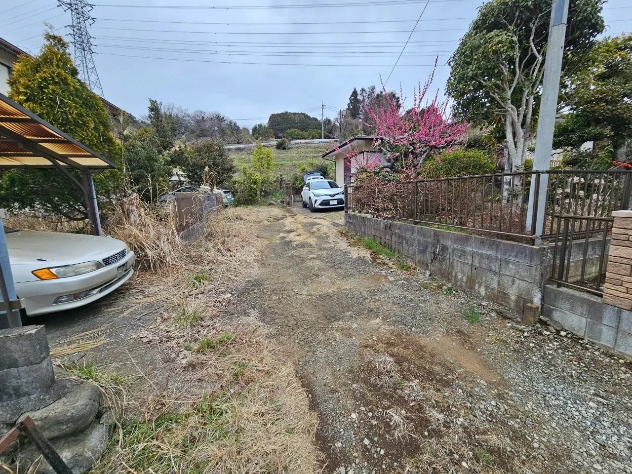 秦野市菖蒲